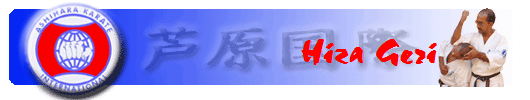 Hiza Geri