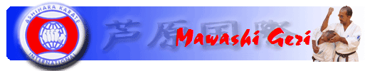 Mawashi Geri