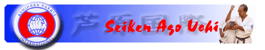 Seiken Ago Uchi